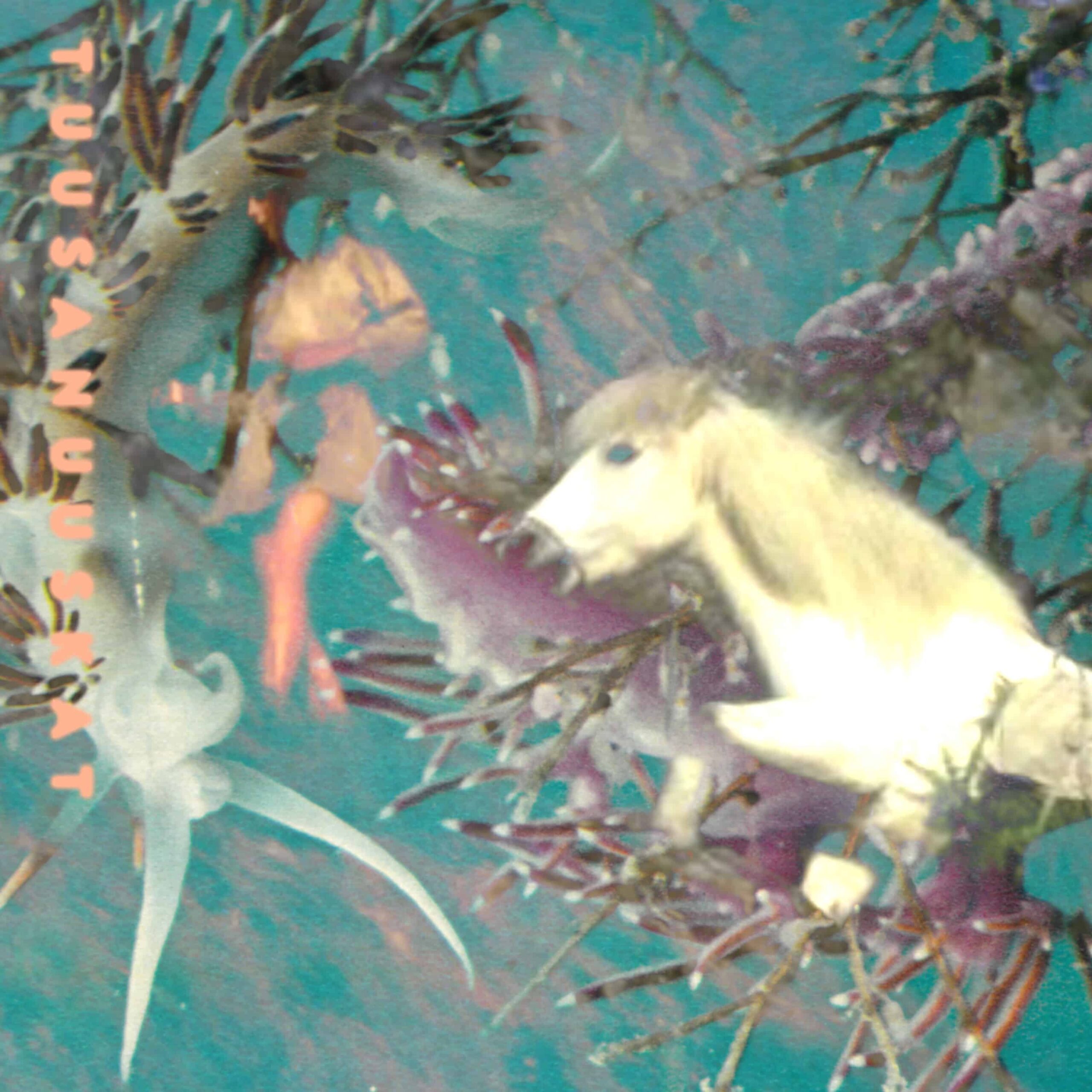 Tuusanuuskat-Toiminnan_Aattona